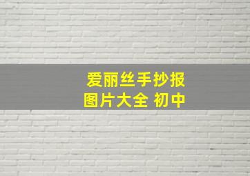 爱丽丝手抄报图片大全 初中